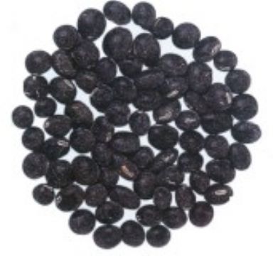 Black Bean Hull Extract 